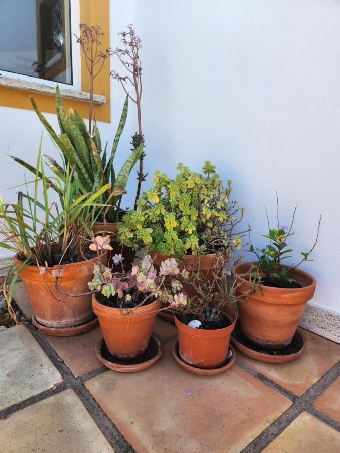 Quinta Das Amendoas カルヴォエイロ エクステリア 写真