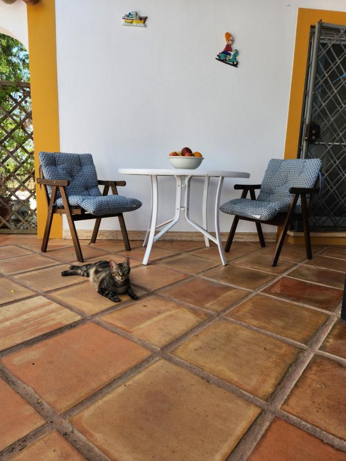Quinta Das Amendoas カルヴォエイロ エクステリア 写真