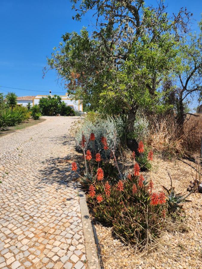 Quinta Das Amendoas カルヴォエイロ エクステリア 写真