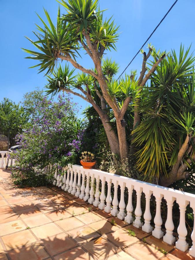 Quinta Das Amendoas カルヴォエイロ エクステリア 写真