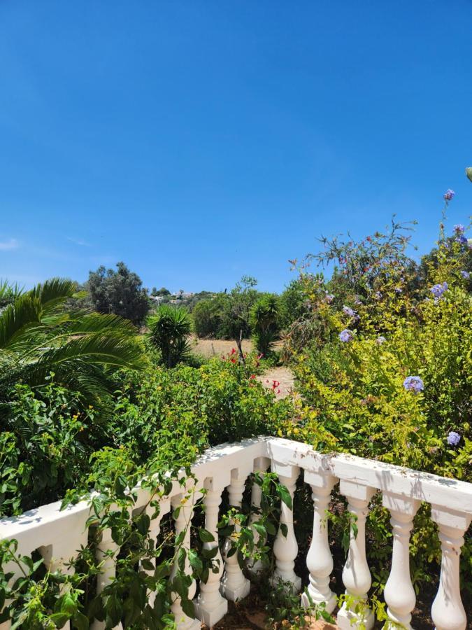 Quinta Das Amendoas カルヴォエイロ エクステリア 写真